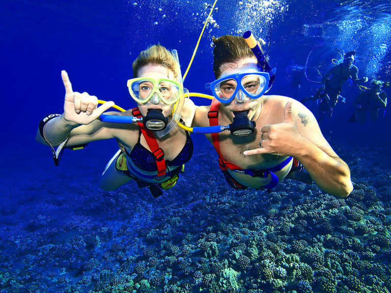 maui snorkeling morning tour