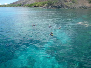 maui snorkeling boat tours