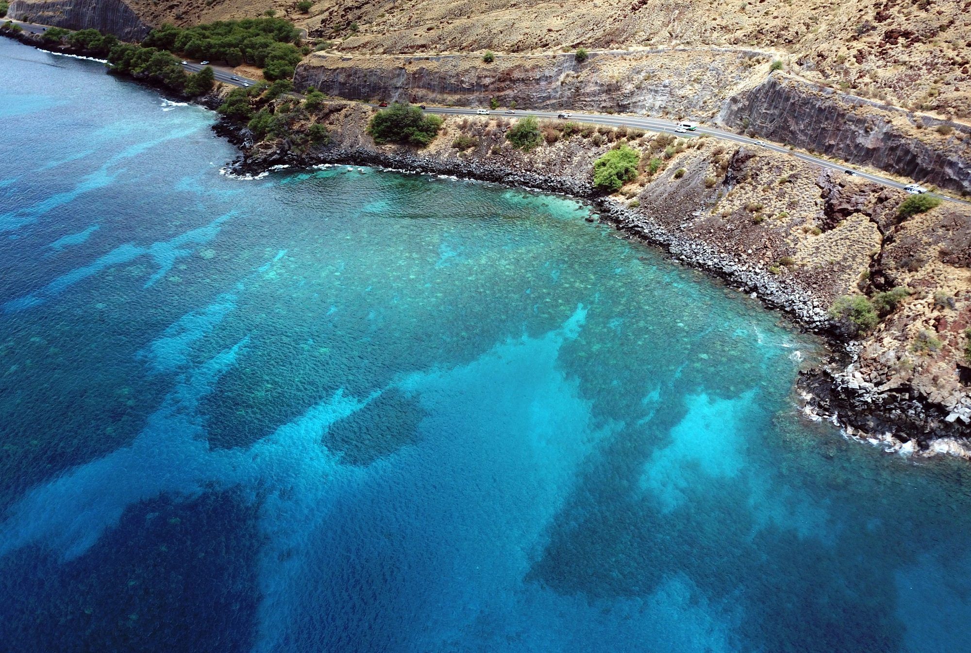 Coral Gardens Maui Magic Snorkel